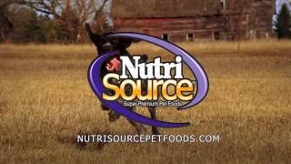 NutriSource Pet Foods Commercial [upl. by Nirag]