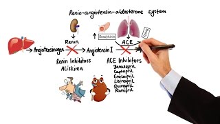 Pharmacology  HYPERTENSION amp ANTIHYPERTENSIVES MADE EASY [upl. by Myrle]