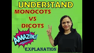 Monocots Vs Dicots  Amazing Explanation [upl. by Acirne378]