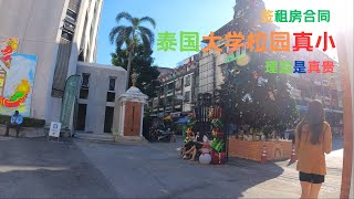 曼谷：签租房合同，理了最贵的头发，看到最小的大学校园 [upl. by Mattson]