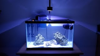 Build A 10g Nano Reef On A Budget 2020 Edition [upl. by Eberhard]