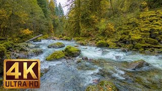 Beautiful Nature Video in 4K Ultra HD  Autumn River Sounds  5 Hours Long [upl. by Yemiaj39]