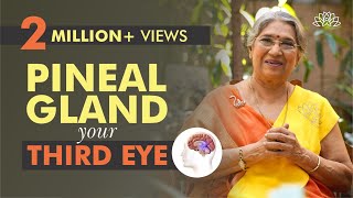 Take Care of your Pineal Gland by doing this  Dr Hansaji Yogendra [upl. by Constancia]