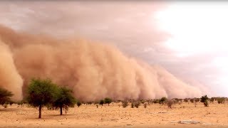 Proteger a las personas de las tormentas de polvo y arena [upl. by Darice]