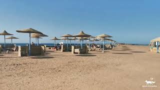 Highlights from Hurghada Long Beach Resort 2021 [upl. by Whitten]