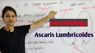 Ascaris Lumbricoides in hindi  Parasitology By Manisha Maam [upl. by Lledner67]