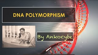 DNA Polymorphisms and its classifications [upl. by Hildagarde827]