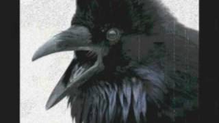 Alan Parsons Project The Raven [upl. by Burner]