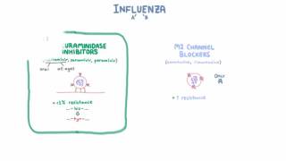 Influenza Treatment  Medications and Criteria for Treatment [upl. by Emmalynne]