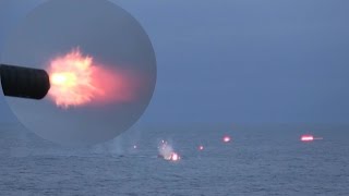 CIWS Gatling Gun amp Mk38 Chain Gun Open Fire On Target Boats [upl. by Luther]