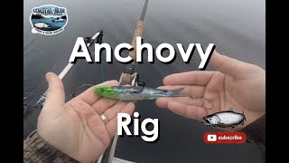 How to build an anchovy rig  Rhys Davis [upl. by Ran]