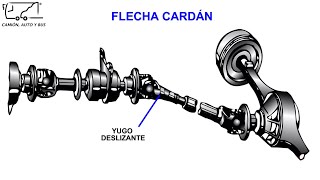 ¿Cómo funciona la flecha cardán [upl. by Germain]