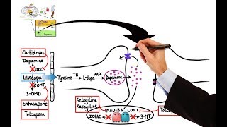 Pharmacology  DRUGS FOR PARKINSONS DISEASE MADE EASY [upl. by Gentes]