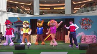 Paw Patrol Show  Live Real Mascot Video Episode [upl. by Minda]