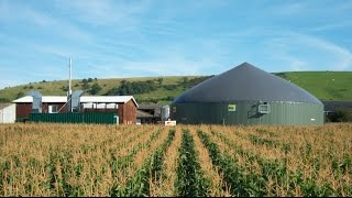 Considering an anaerobic digester [upl. by Nosyerg]