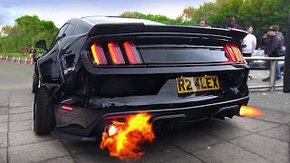 SCARY Ford Mustang V8 Sound Compilation 2020 [upl. by Nyvets]