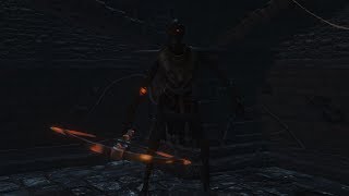 Bloodborne  Unused Chalice Warrior [upl. by Wesla]