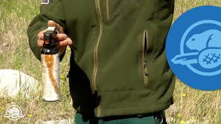 How to Use Bear Spray  Banff National Park [upl. by Ecnarrot]