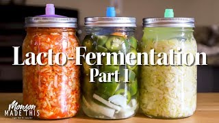 Easy LactoFermentation Part 1  Sauerkraut Kimchi Dill Pickles Jalapeno Hot Sauce [upl. by Solracsiul]