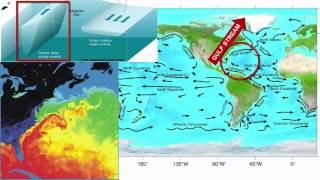 Surface Currents [upl. by Siduhey]