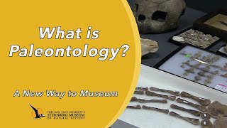 What is Paleontology  A New Way to Museum [upl. by Sucrad]