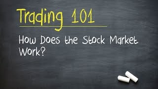 Trading 101 How Does the Stock Market Work [upl. by Leirol]