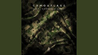 Camouflage [upl. by Kcirrej]