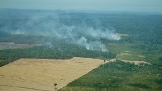 Tracking Amazon Deforestation [upl. by Akcirderf]