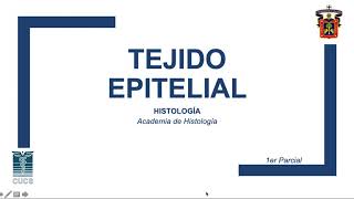 3 Tejido Epitelial [upl. by Kwan]