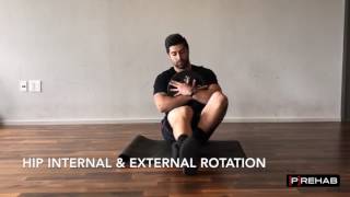 Hip Internal and External Rotation Mobility [upl. by Hazen]