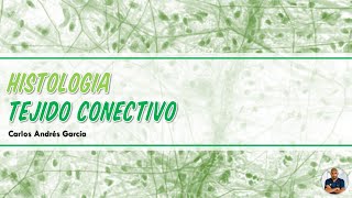 Histología  Tejido Conectivo Matriz Fibras y Células [upl. by Stephenson54]