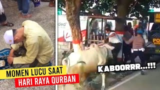 Ada Yang Dikejar Sapi Deretan Momen Lucu Saat Hari Raya Qurban [upl. by Roy]