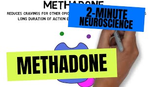 2Minute Neuroscience Methadone [upl. by Lemyt]