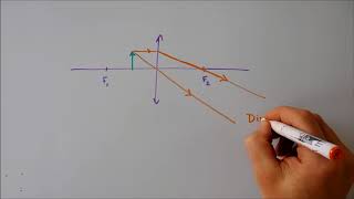 Lentilles  Construction dimages [upl. by Ahsim]