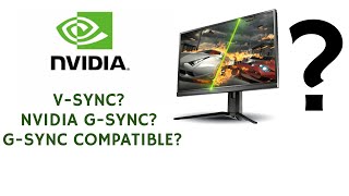 Should You Use G Sync with V Sync EXPLAINED [upl. by Dlorrej]