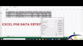 How to create Data entry form in Microsoft Excel in Amharic [upl. by Pier61]