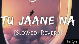 Tu Jaane Na SlowedReverb Atif Aslam  Audio Lyrics [upl. by Eixirt]