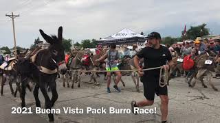 Highlights From the Buena Vista Pack Burro Race [upl. by Anahsohs722]