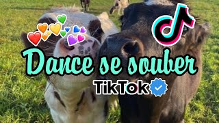 Dance se souber Tik Tokâ­ď¸Ź [upl. by Skillern]