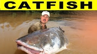 CRAZY CATFISH  Amazon River Monsters [upl. by Aiki710]