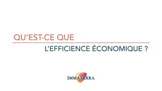 LEfficience Economique  quest ce que cest [upl. by Naashar]