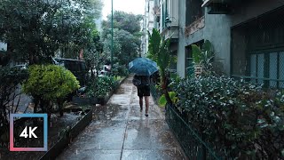 Gentle Rainfall Walk in Mexico City Binaural Audio [upl. by Eenerb]