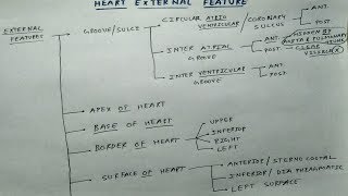 Heart External Features  1  Theory Chart  TCML  Dr Pawan nagar [upl. by Ibrahim]