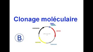 Clonage moléculaire [upl. by Trescott]