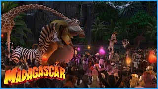 DreamWorks Madagascar  Meet King Julien  Madagascar Movie Clip [upl. by Anotyad]