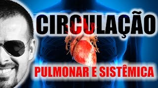 Sistema Circulatório Circulação pulmonar e circulação sistêmica esquema didático  VideoAula 004 [upl. by Perot616]