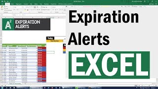 Essential Skill with Excel Expiration Alerts with Conditional Formatting [upl. by Valry]