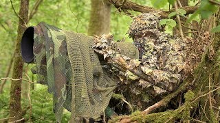 BIRD PHOTOGRAPHY in the forest  Wildlife photography behind the scenes  Nikon Z7 FTZ camouflage [upl. by Nanny]