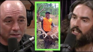 Joe Rogan Explains Hunting to Russell Brand [upl. by Nussbaum]