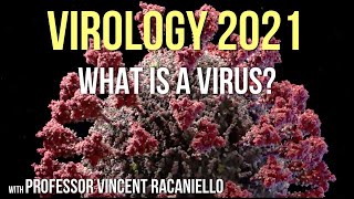 Virology Lectures 2021 1 What is a Virus [upl. by Warrick]